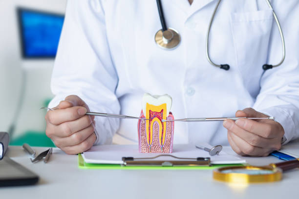 Best Dentist for Tooth Abscess  in Fairmount, IN